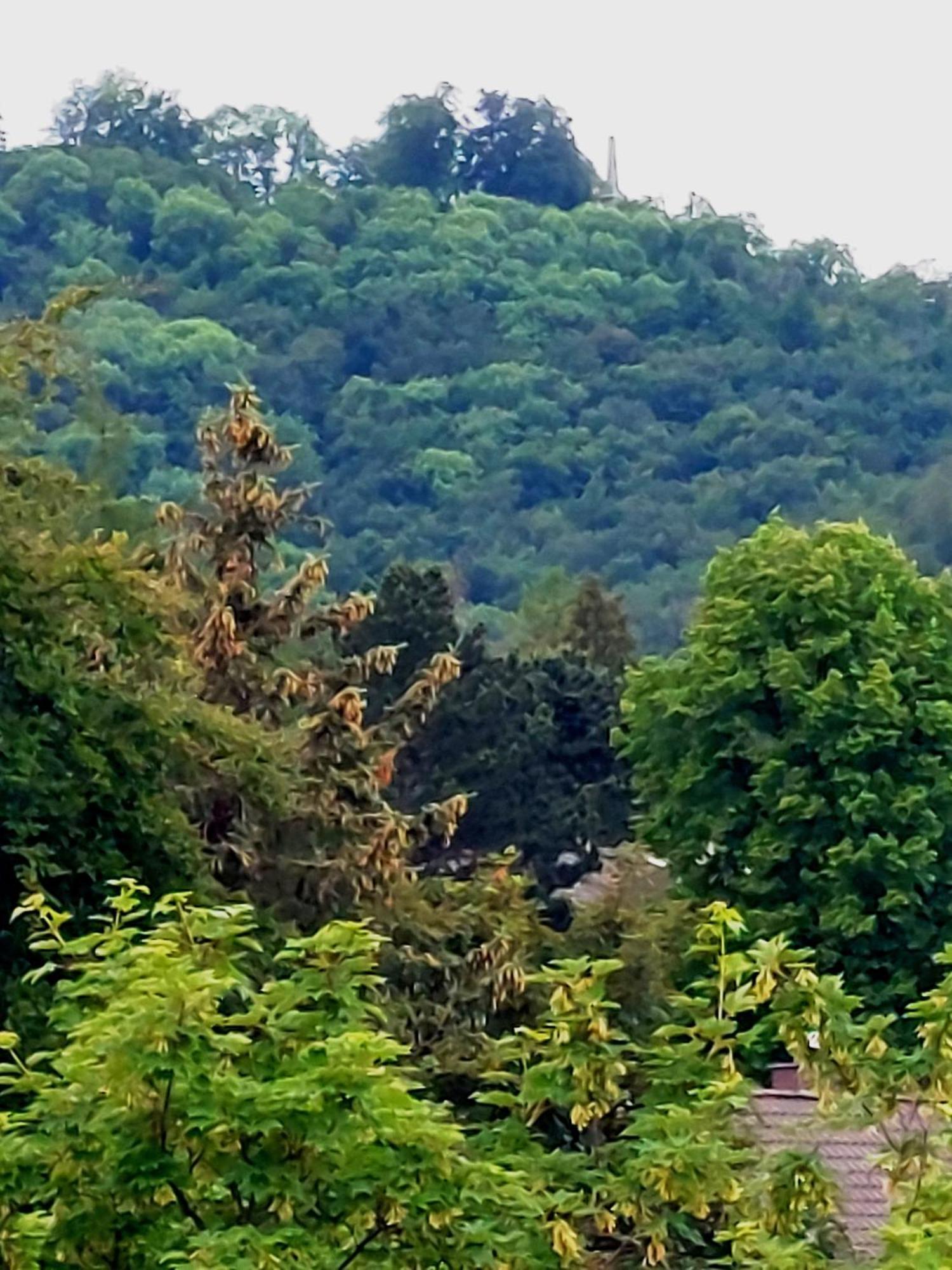 Apartmán Burgberg-Blick Bad Harzburg Exteriér fotografie